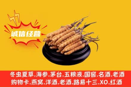 周口西华县回收冬虫夏草